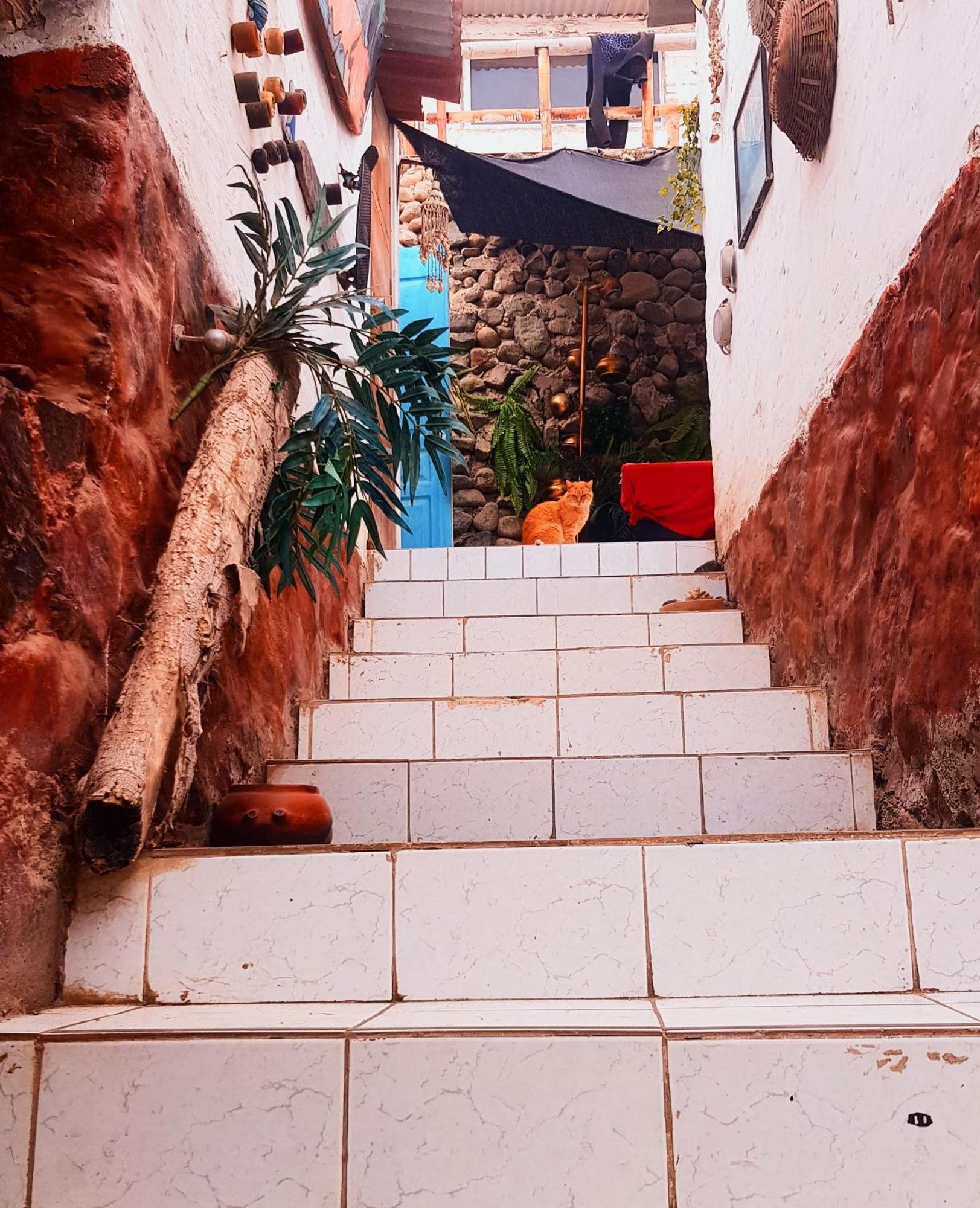 דירות Huanchaco Surf Camp מראה חיצוני תמונה